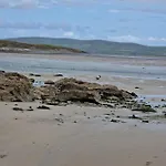 Shanadune * Tralee