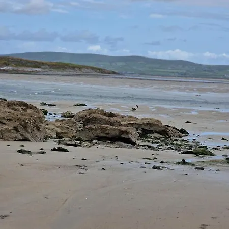 Shanadune * Tralee